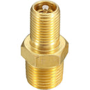 Schrader Tyre Valve & Core (Male Thread R 1/8)