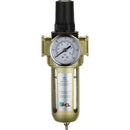 Dark Gray Air Treatment Filter/Regulator 0-150 psi/0-10 bar, 1/2 Ports