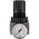 Dark Slate Gray Air Treatment Regulator 0-170 psi/0-12 bar, 1/2 Ports