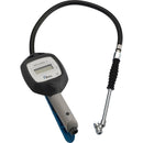 Dark Slate Gray ACCURA 1 Tyre Inflator 0-12 bar, 0.53m Hose Twin Hold-on Connector